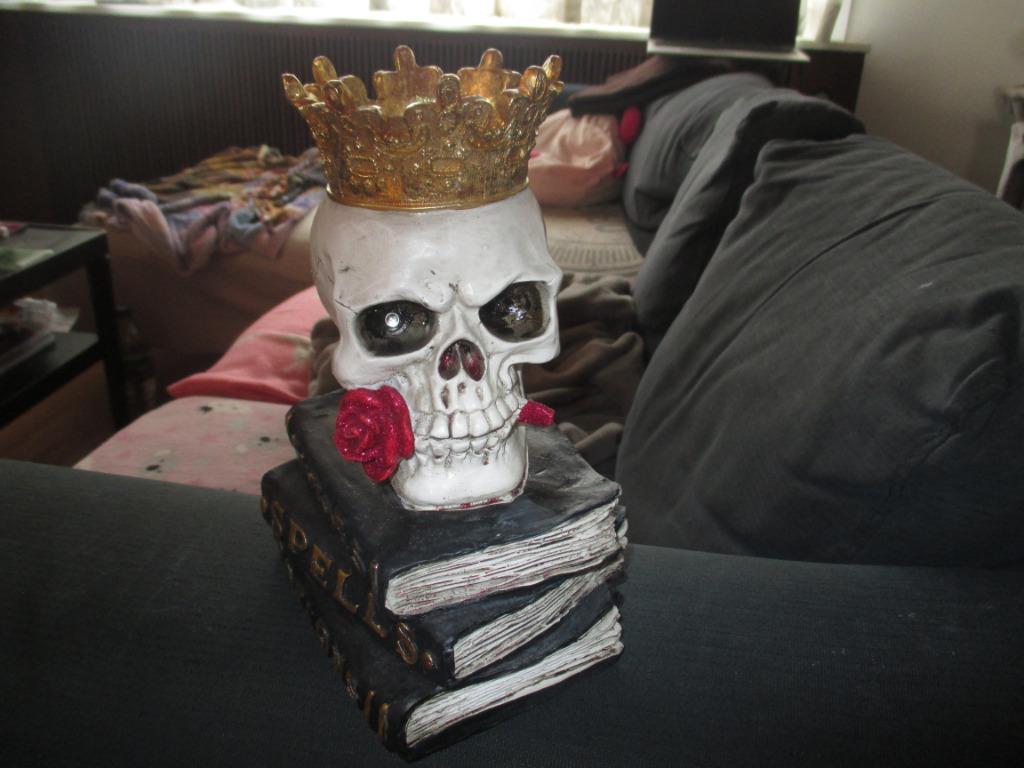 schedel die licht geeft en op boeken staat nieuw, Verzamelen, Overige Verzamelen, Ophalen of Verzenden, Nieuw