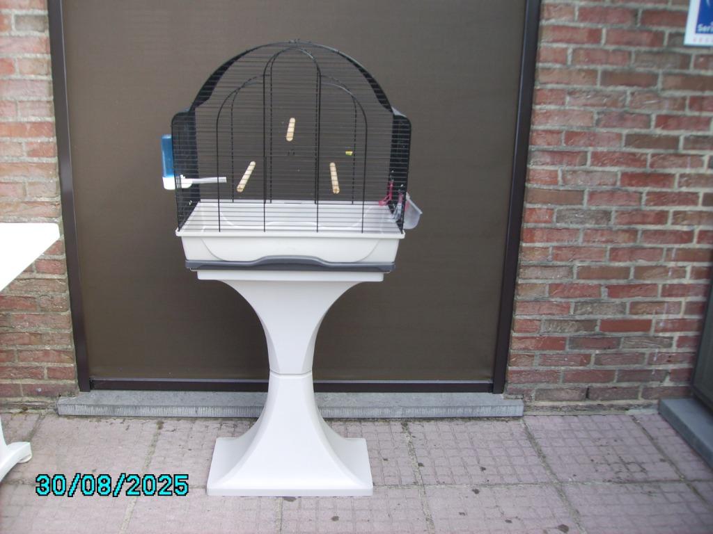 vogelkooi, Ophalen, Zo goed als nieuw, Metaal, Vogelkooi