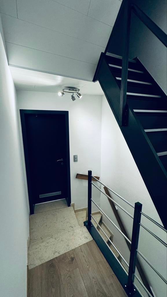 Jeune peintre professionnel ‍ pour cage d’escalier ou autre