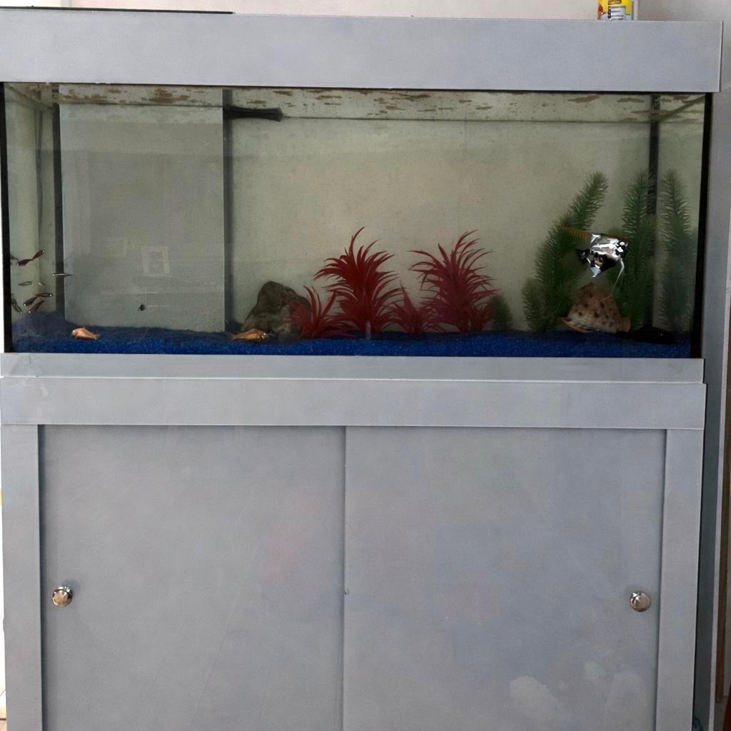 Aquarium full equipe, Animaux & Accessoires, Enlèvement, Utilisé, Aquarium d'eau douce rempli