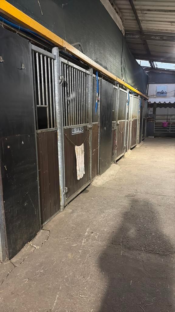 Paardenstallen te huur, binnenstallen en buitenweide/pension, Mise à l'étable