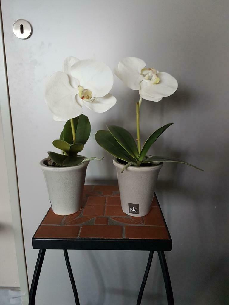 2 kunst orchideeën van Sia, Huis en Inrichting, Kamerplanten, Ophalen, Minder dan 100 cm
