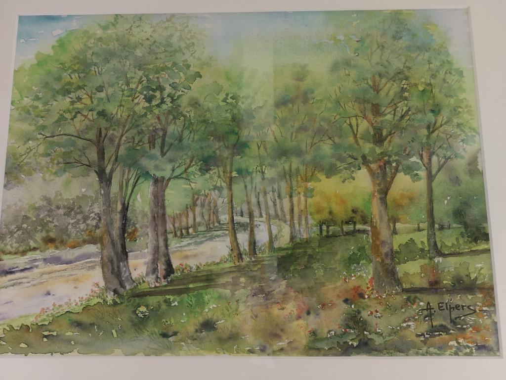 aquarel pad bomen, Hobby en Vrije tijd, Schilderen, Ophalen