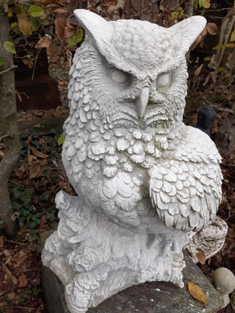 Grote uil (oehoe) in gepatineerde steen, Ophalen, Nieuw, Steen, Dierenbeeld