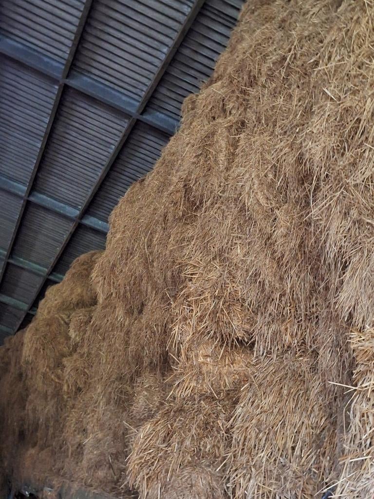 Kleine botten hooi te koop, Dieren en Toebehoren, Ophalen of Verzenden