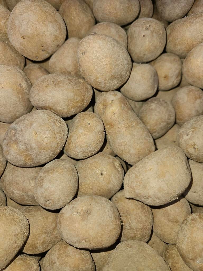 Fontane planters 35/50, Zakelijke goederen, Landbouw | Aardappelen, Groenten, Fruit en Vlees, Ophalen