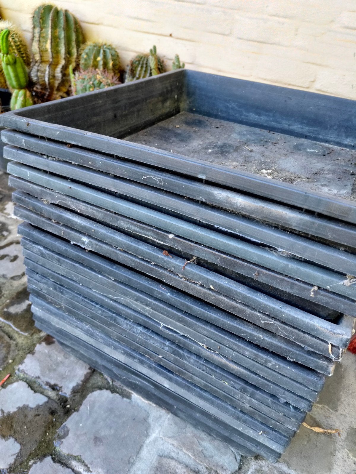 serre bakken planten, Tuin en Terras, Ophalen, Gebruikt, Kunststof