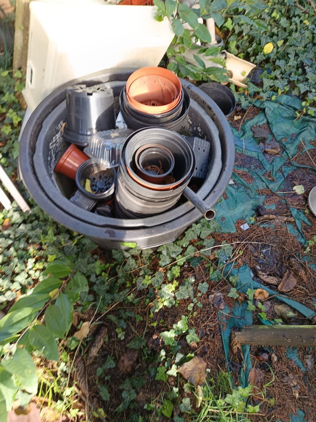 zaai of stekpotjes, Tuin en Terras, Ophalen, Gebruikt