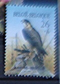 België 2246 **/mn, Verzenden, Orginele gom, Postfris, Overig
