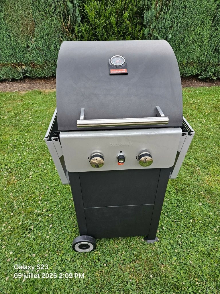 Barbecue gaz 120 euros, Jardin & Terrasse, Enlèvement