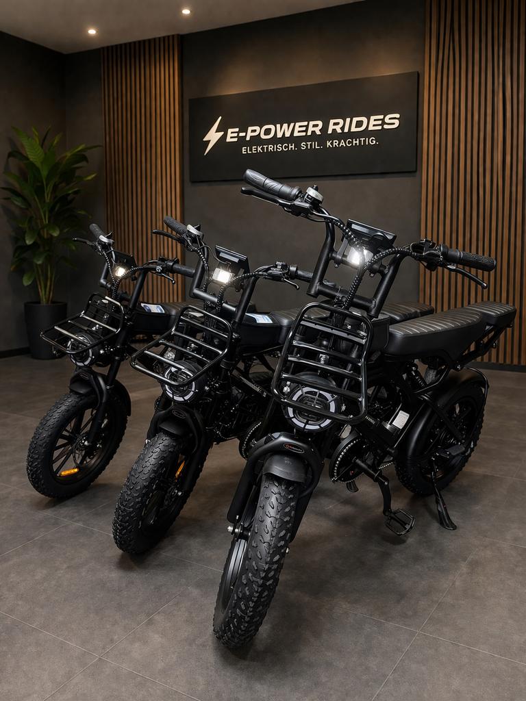 V20Pro E-bike – PROMO € 850 t.e.m. 1 mei, Ophalen, Nieuw, Overige typen