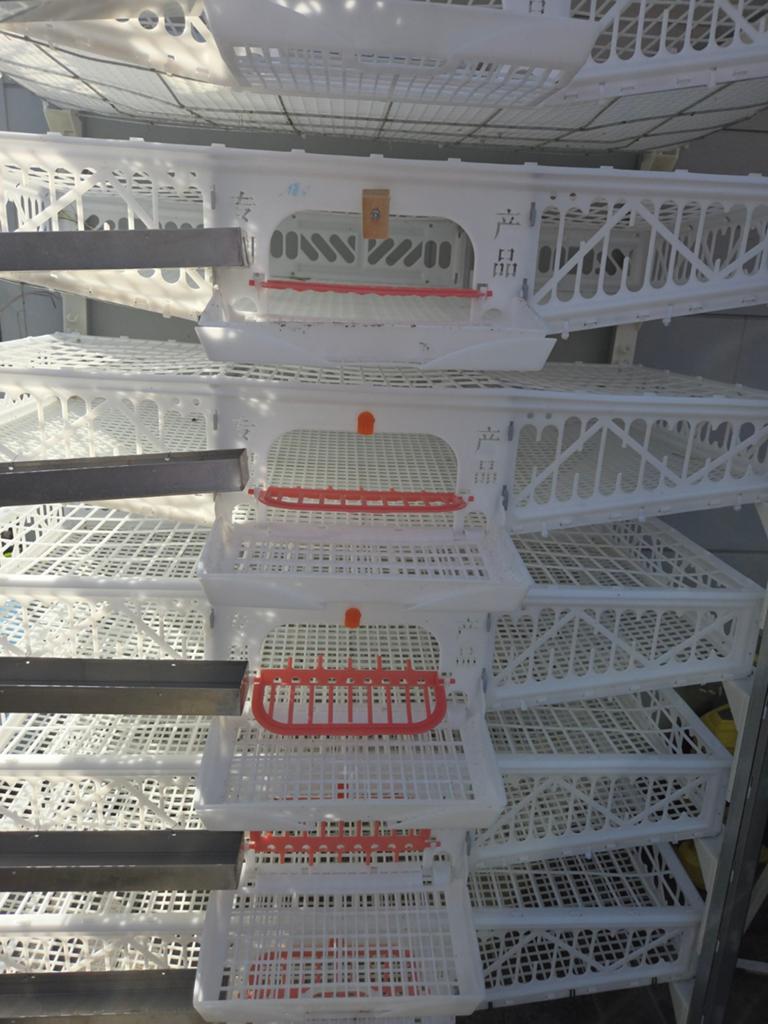 Cages d'élevage de cailles — Batterie professionnelle à 6, Animaux & Accessoires, Volatiles