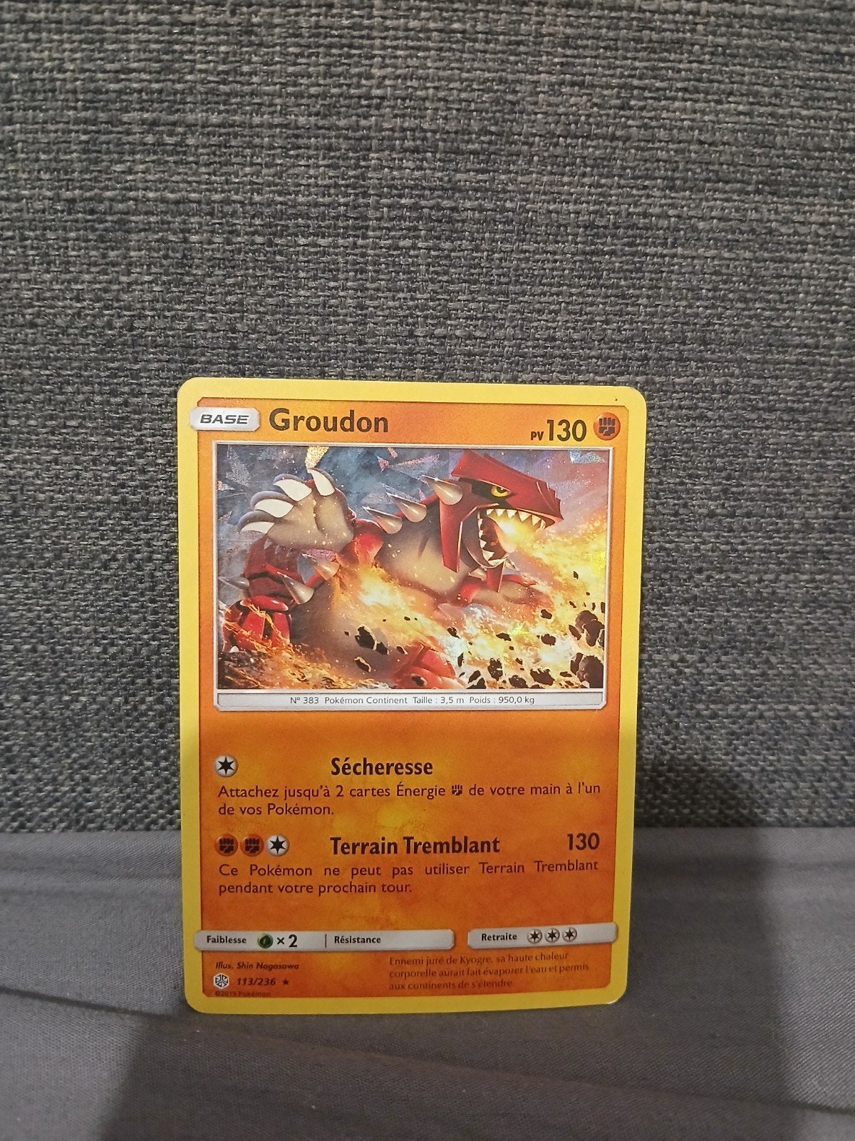 Groudon, Ophalen of Verzenden, Zo goed als nieuw, Losse kaart, Foil