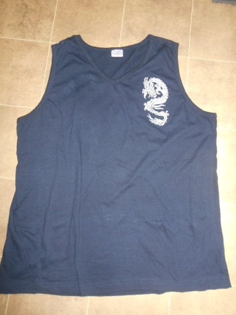 T-shirt de sport à col en V/Taille L, Enlèvement ou Envoi, Comme neuf, Taille 52/54 (L), Bleu