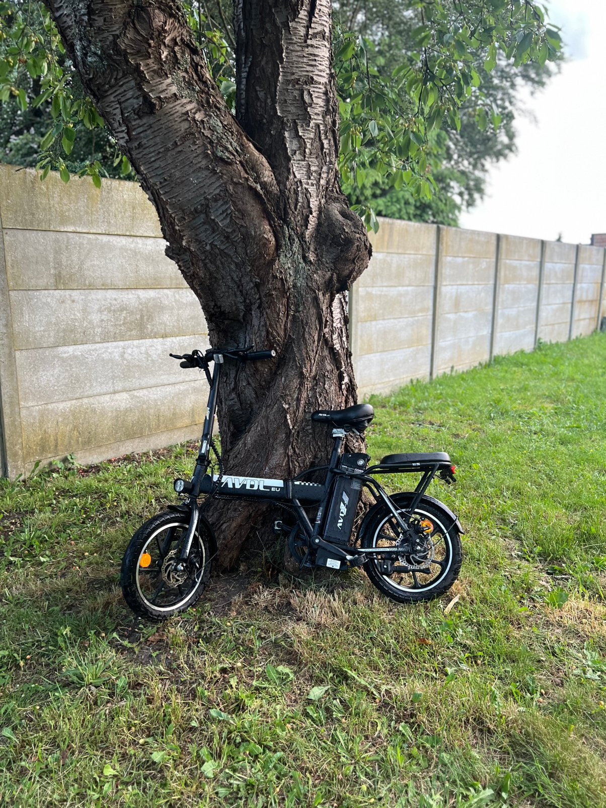 Opvouwbare elektrische fiets/foldable ebike, Ophalen, Zo goed als nieuw, 30 tot 50 km per accu, Overige merken