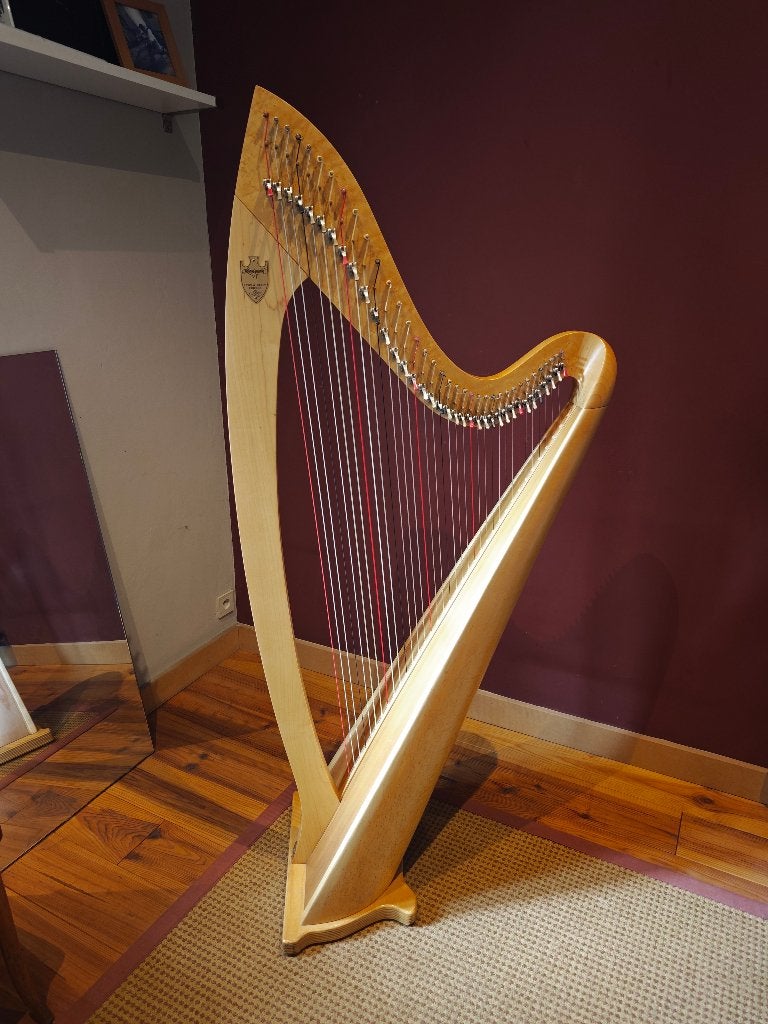 harpe celtique Lyon & Healy Troubadour VI, Ophalen, Gebruikt