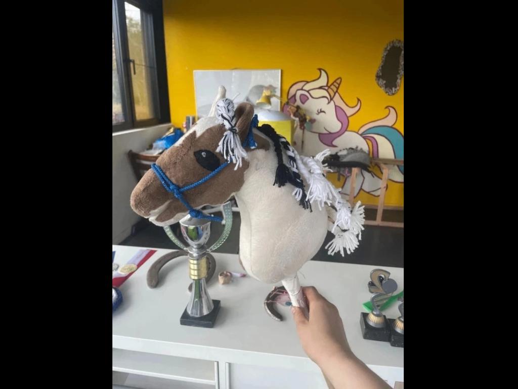 Hobbyhorse, Ophalen of Verzenden, Nieuw