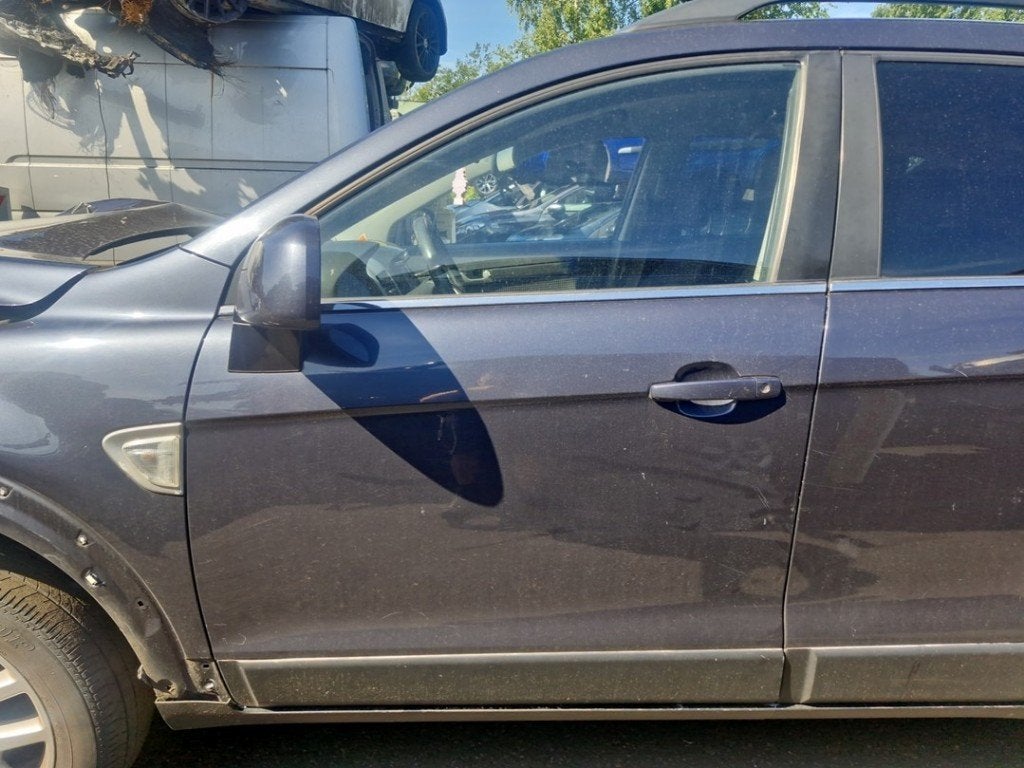 PORTE AVANT GAUCHE Captiva (C100) (|42352069|), Daewoo, General Motors Germany GmbH, Utilisé, Chevrolet.europe@gm.com