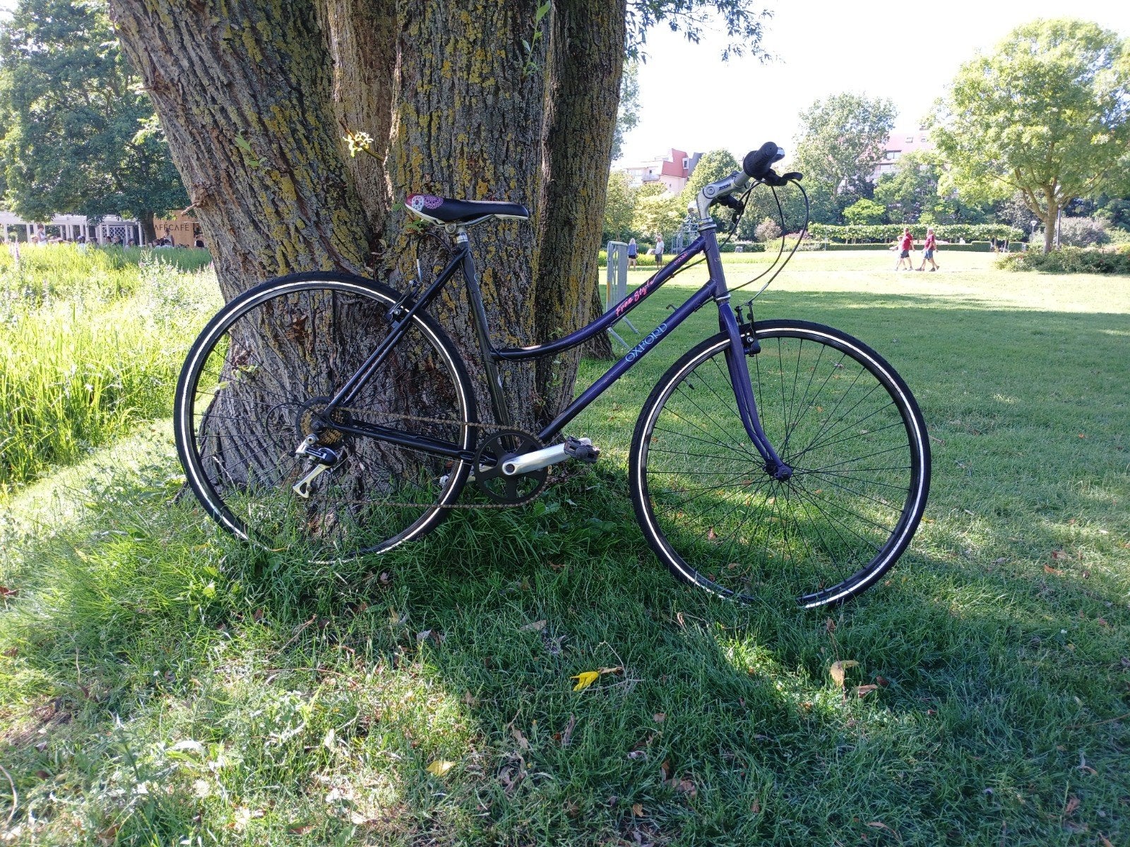 Sportieve Damesfiets, Ophalen, Gebruikt, Velgrem, 50 tot 53 cm