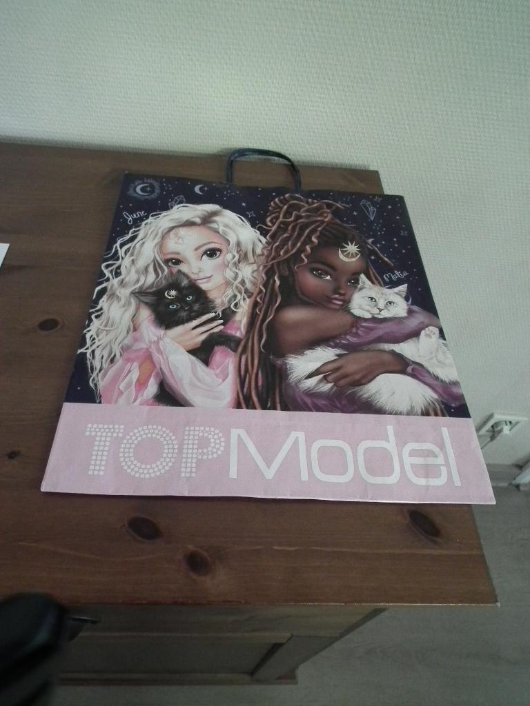 Sac cadeau Top Model (Hauteur 36 cm/ largeur 32 cm), Envoi, Comme neuf