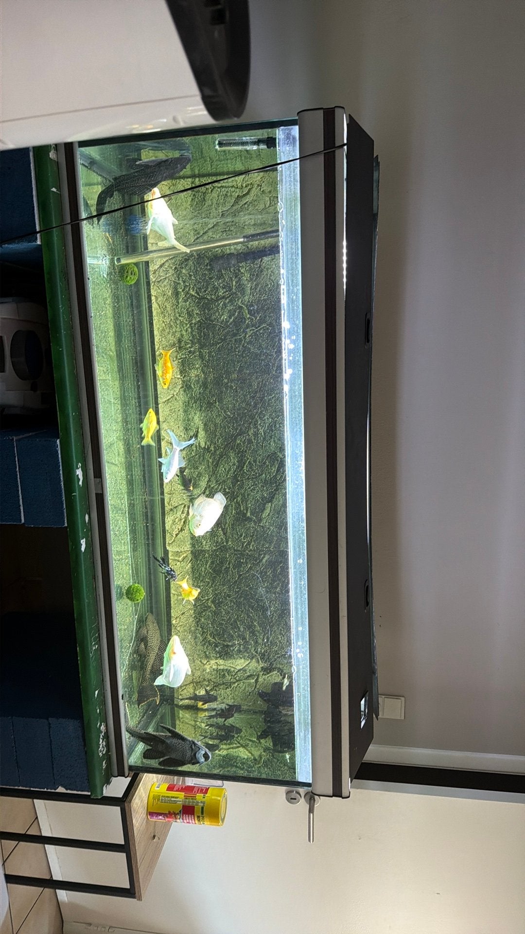 Aquarium aqualantis 450 liter, Dieren en Toebehoren, Ophalen of Verzenden, Zo goed als nieuw