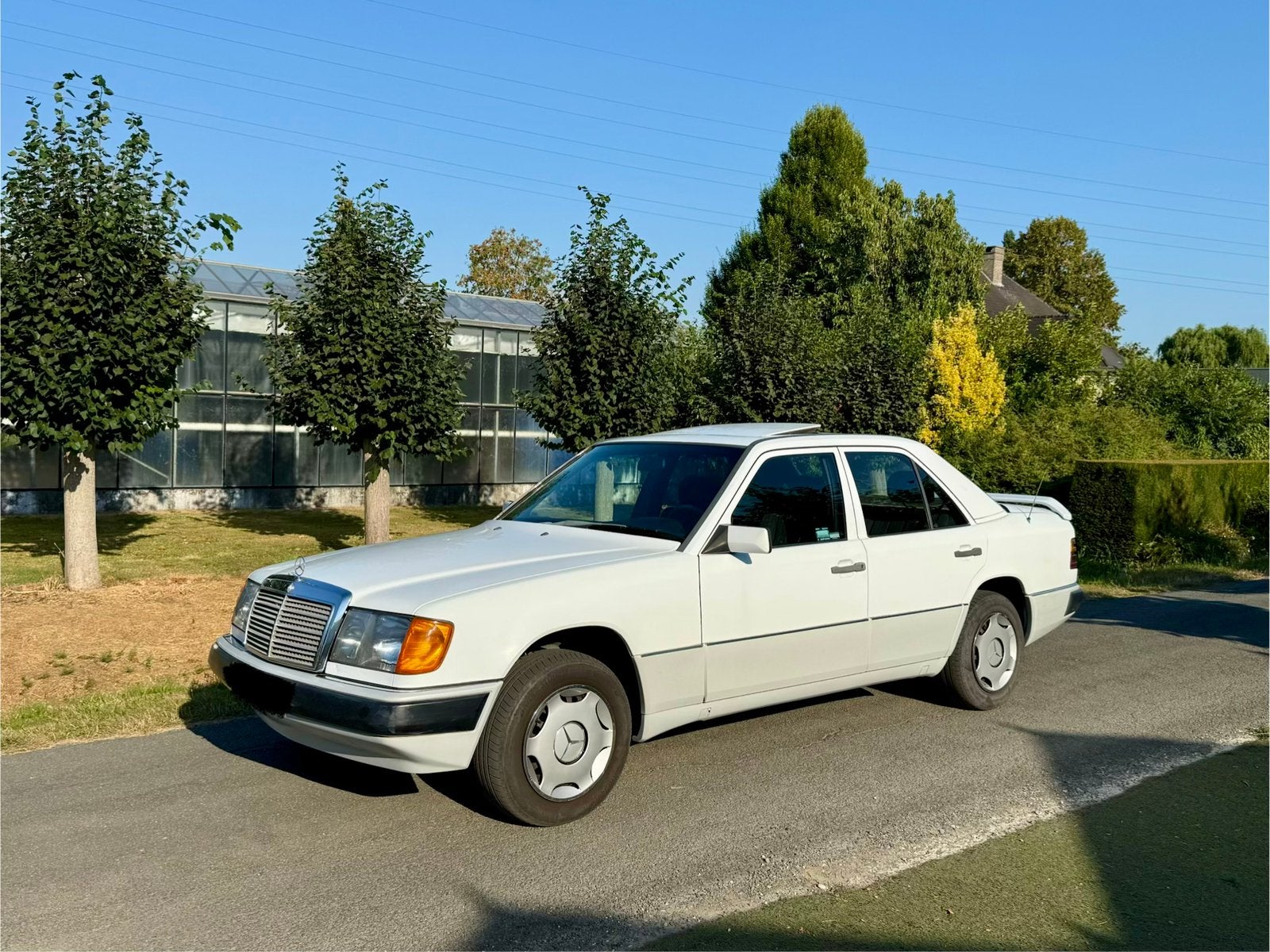 Mercedes 250 Diesel Automaat oldtimer, Auto's, 4 deurs, Wit, Particulier, Te koop