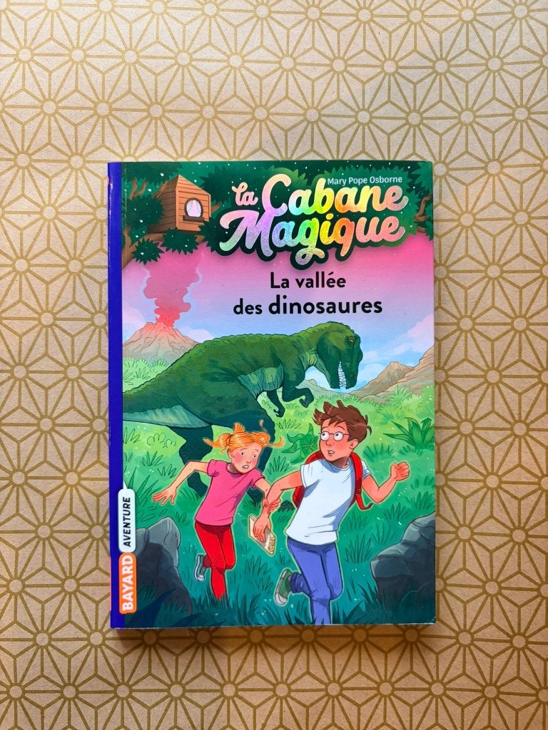 La Cabane Magique — La vallée des dinosaures, Livres, Enlèvement, Utilisé, Fiction général