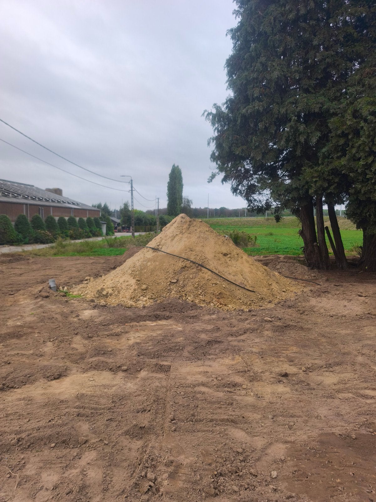 geel zand gratis kan geladen worden, Ophalen