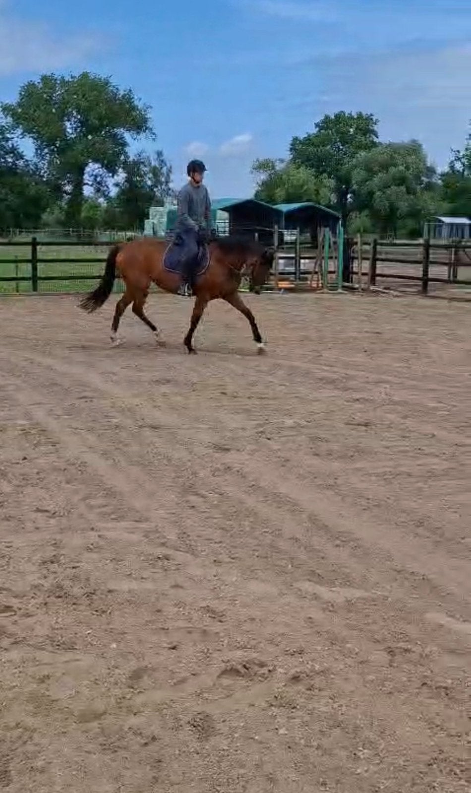 Super lieve en brave recreatiemerrie te koop, Animaux & Accessoires, Chevaux, Jument, 160 à 165 cm, Cheval de récréation, 7 à 10 ans
