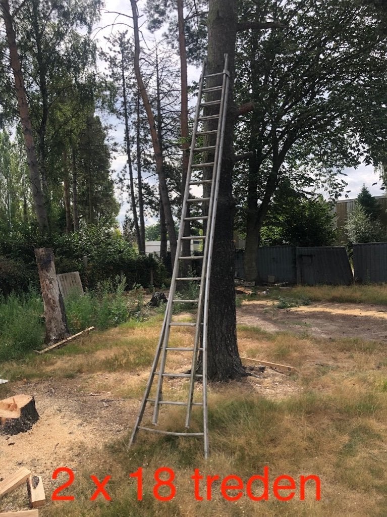 Professionele ladder Solide, Enlèvement, Comme neuf, Échelle, 4 mètres ou plus