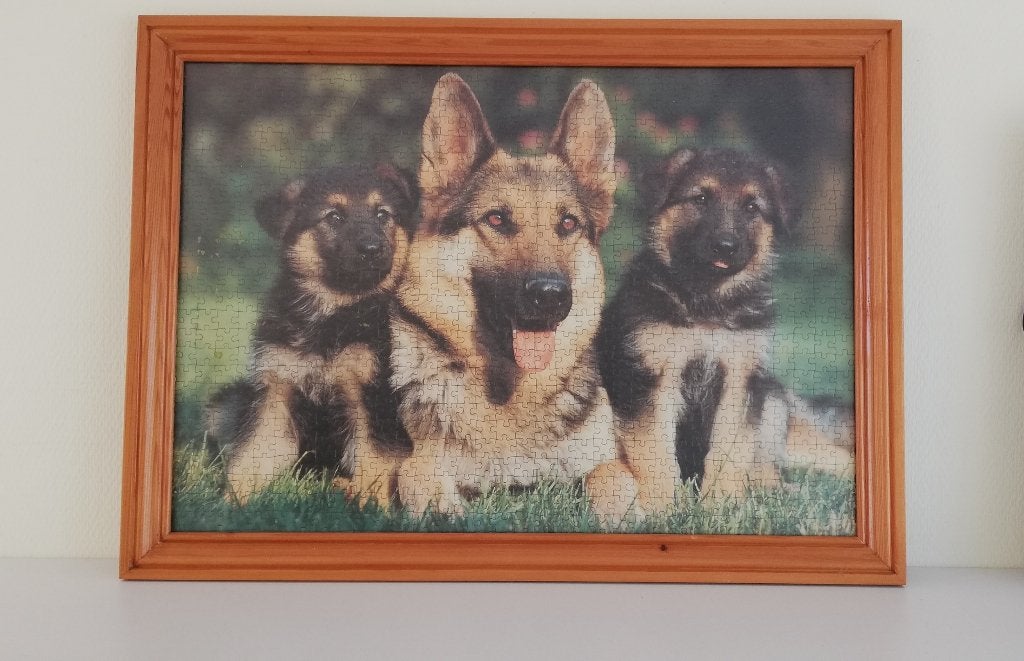 Tableau Grand Puzzle encadré et sous protection 50€, Enlèvement, Neuf