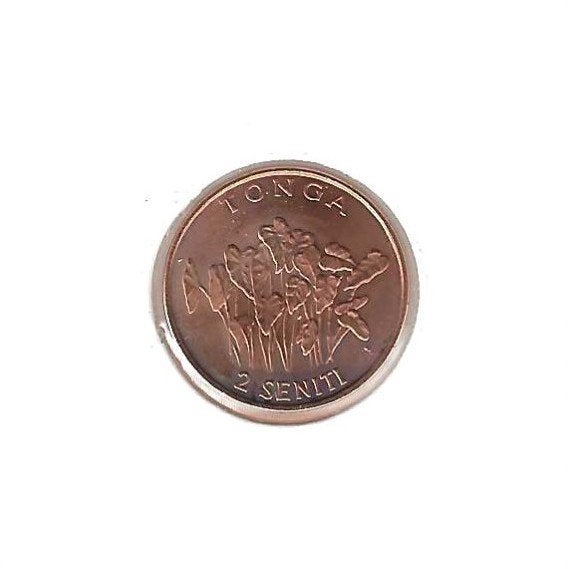 Tonga, 2 Seniti 2002, F.A.O., Postzegels en Munten, Munten | Oceanië, Ophalen of Verzenden, Losse munt