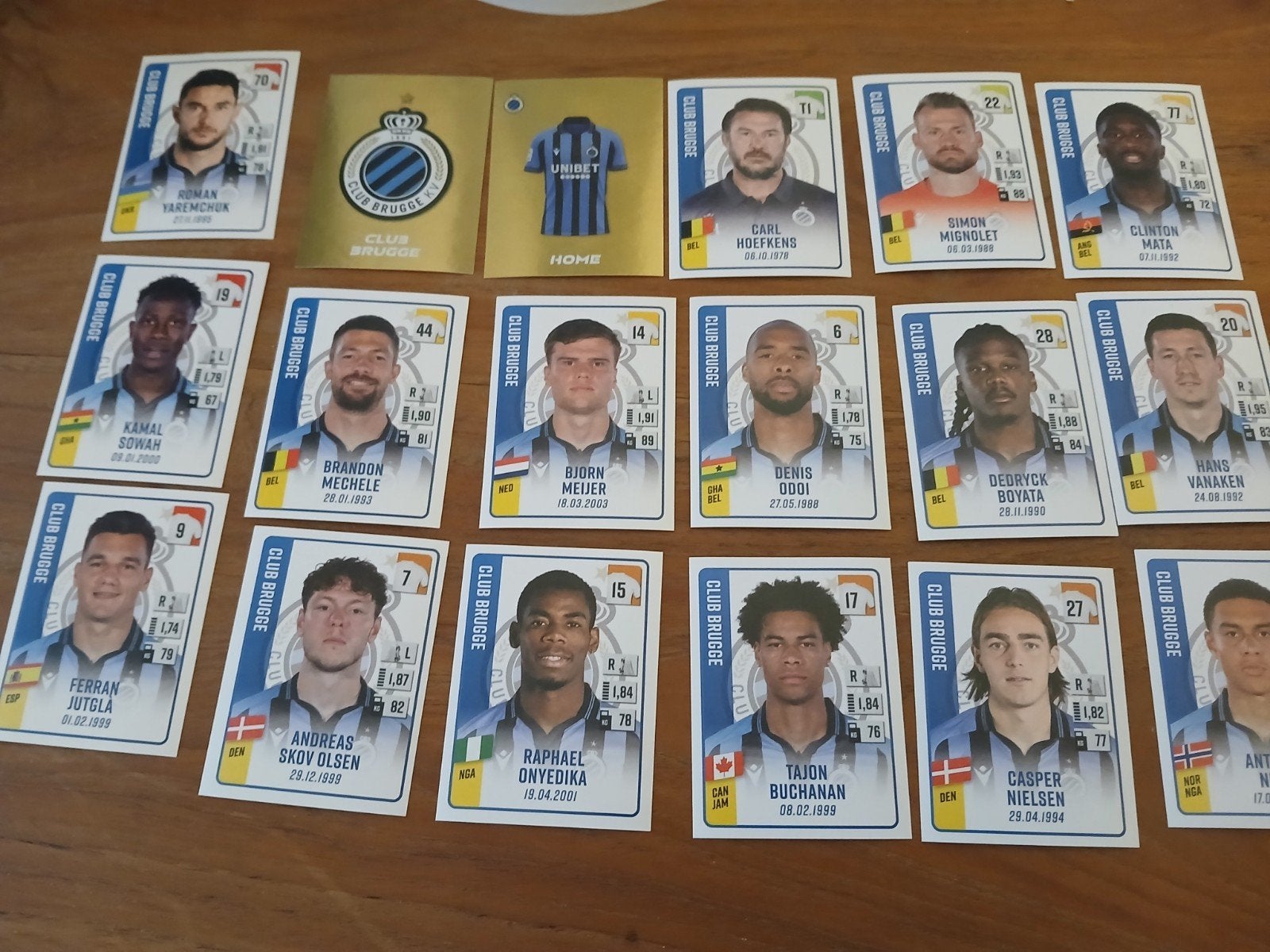 panini pro league 2024 anderlecht ey bruggr, Enlèvement ou Envoi, Neuf, Plusieurs autocollants