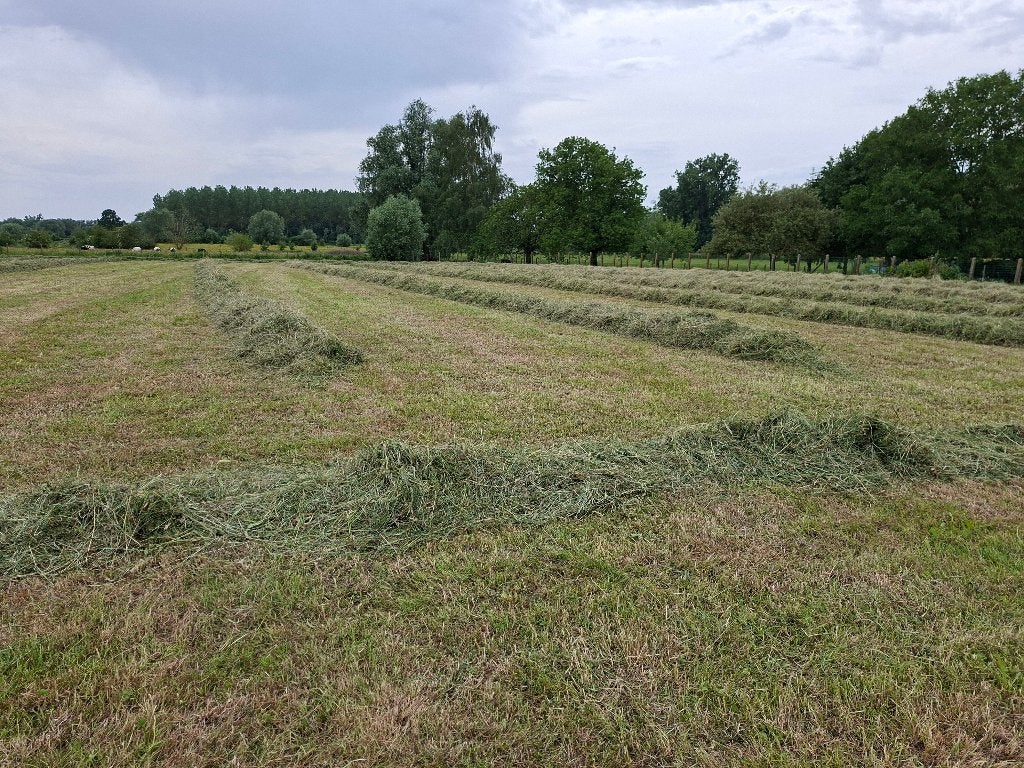 Voordroog weidegras midibalen, Dieren en Toebehoren