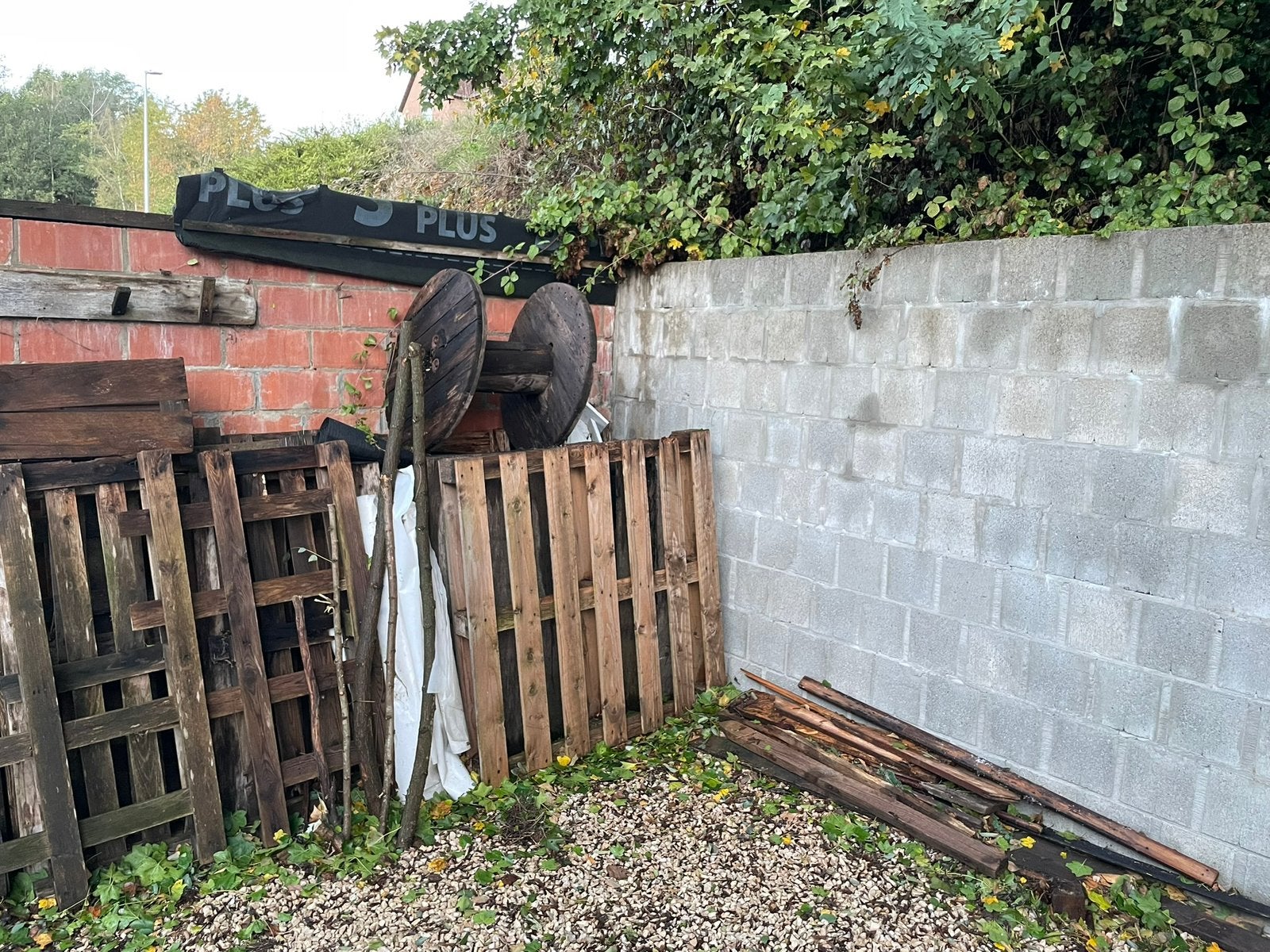 Hout (gratis op te halen), 3 tot 6 m³