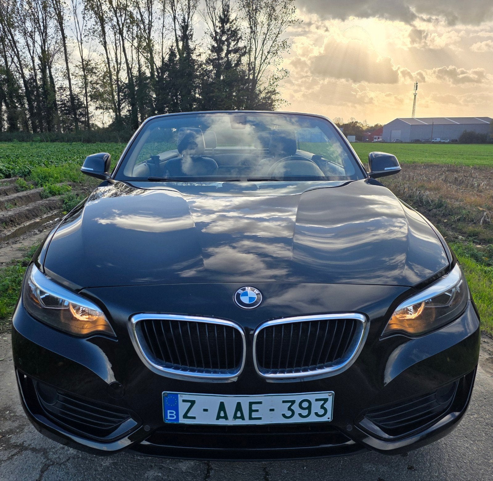 Bmw 220i Cabriolet Euro 6b essence, Autos, Cuir, Euro 6, Entreprise, Cabriolet