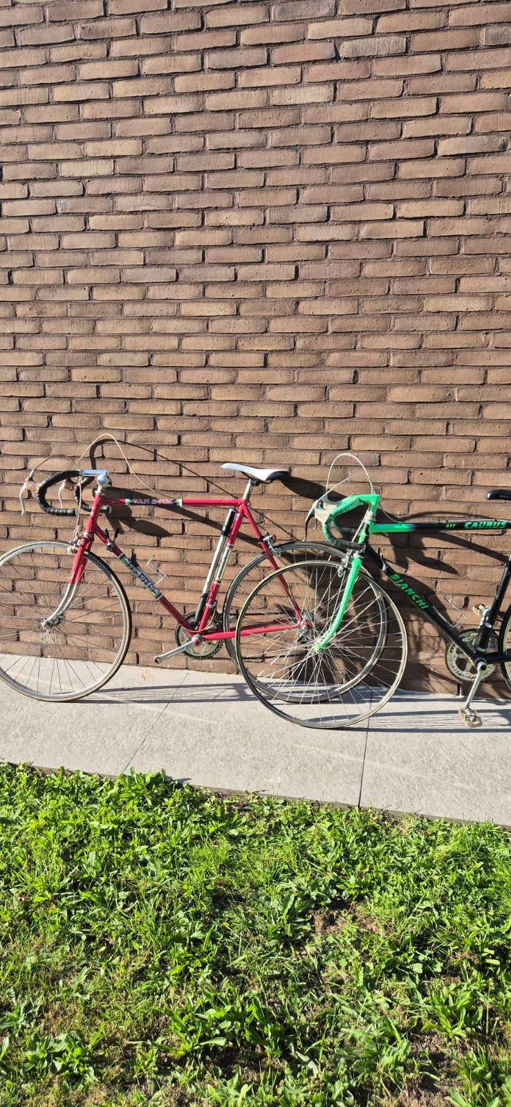 vintage koersfietsen voor opknap, Ophalen