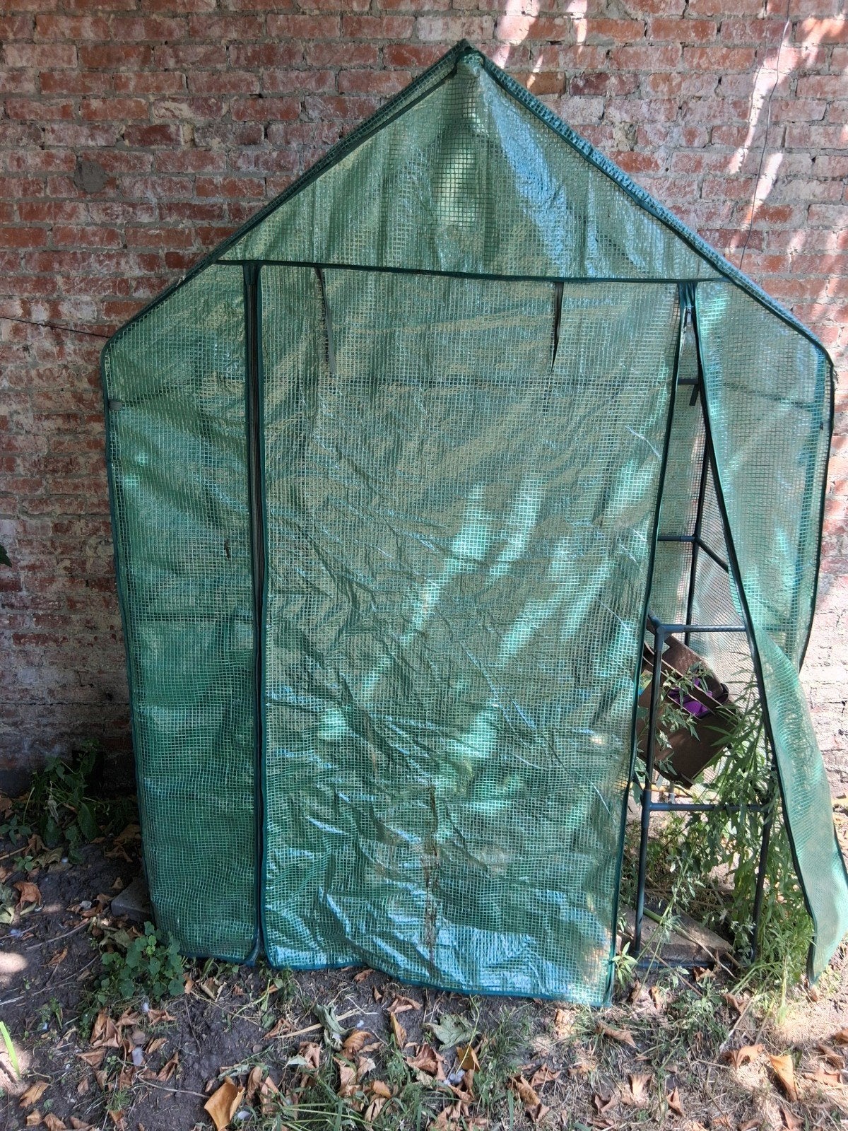 kleine serre 60x 170 x 170, Enlèvement