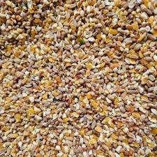 grain de poulet 20 kg, Enlèvement, Volaille
