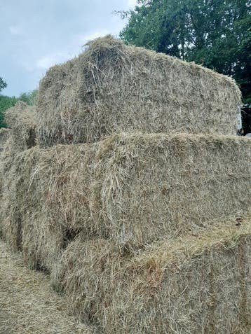 Grote balen Hooi van prima kwaliteit!, Dieren en Toebehoren, Ophalen