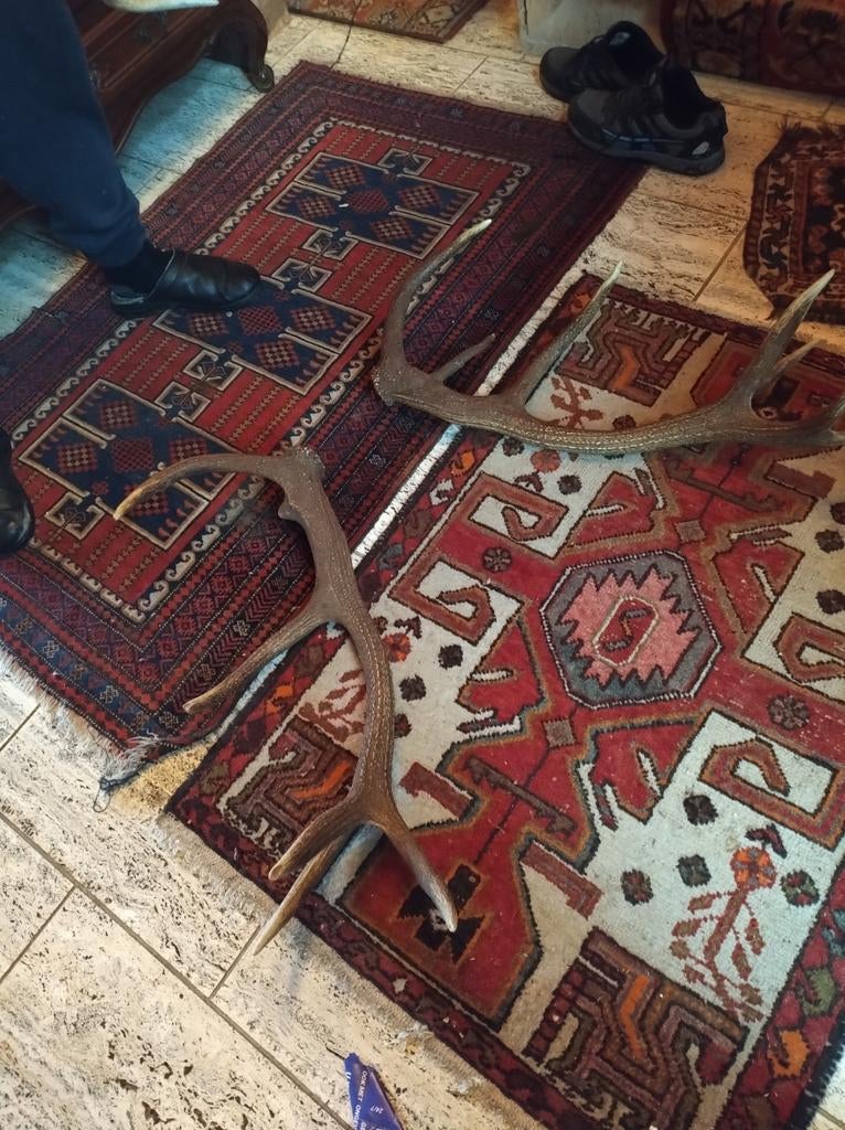 Horns Hert Van 1 Voledig 1 EnKel Samen 75 Euro ., Ophalen