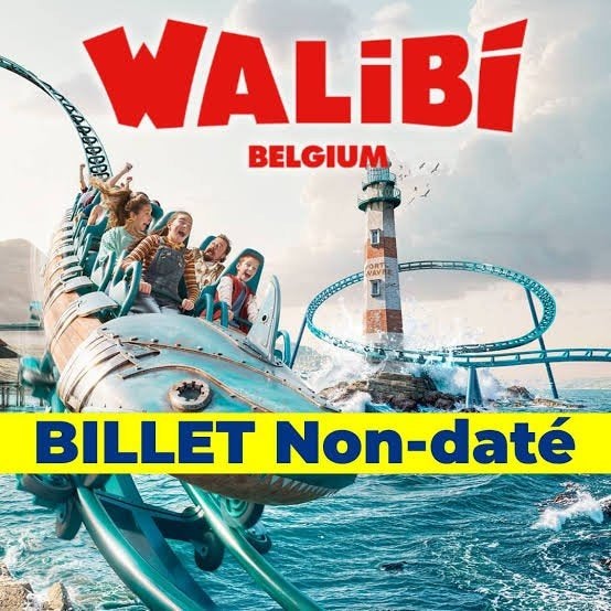 tickets walibi, Tickets & Billets, Loisirs | Parcs d'attractions