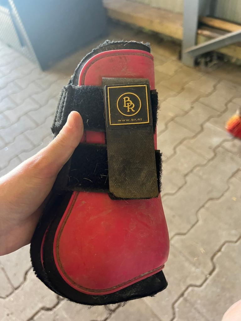 Getten te koop maat cob, Dieren en Toebehoren, Paarden en Pony's | Beschermers, Gebruikt, Springen, Ophalen