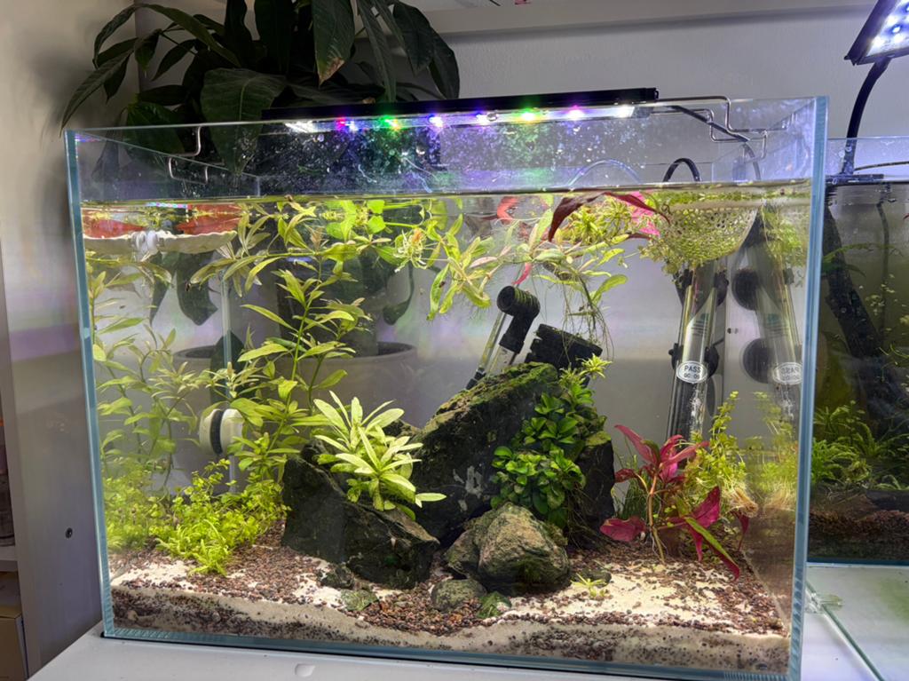 Aquariums, Ophalen, Nieuw, Leeg aquarium