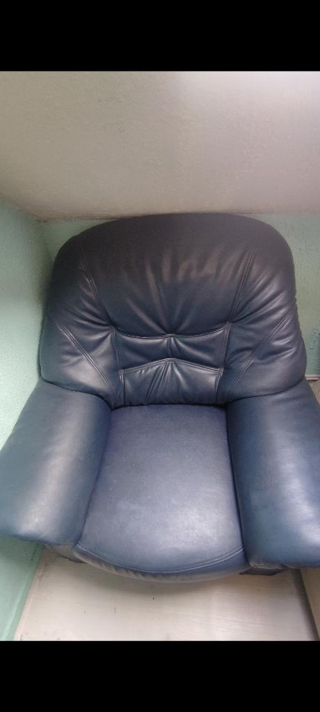 Fauteuil en cuir, Maison & Meubles, Enlèvement, Utilisé, Cuir