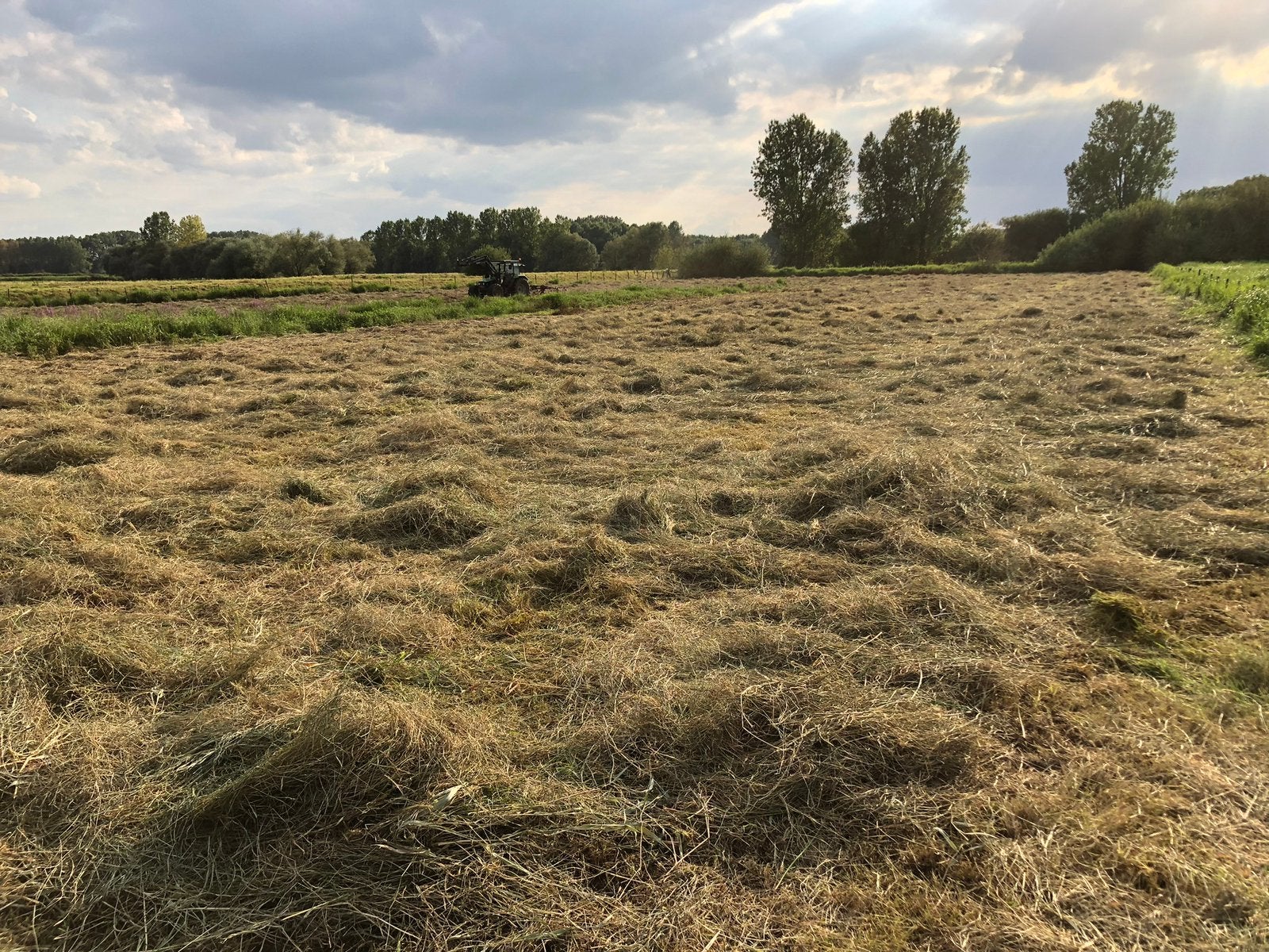 Kleine hooibalen, Dieren en Toebehoren, Stalling en Weidegang