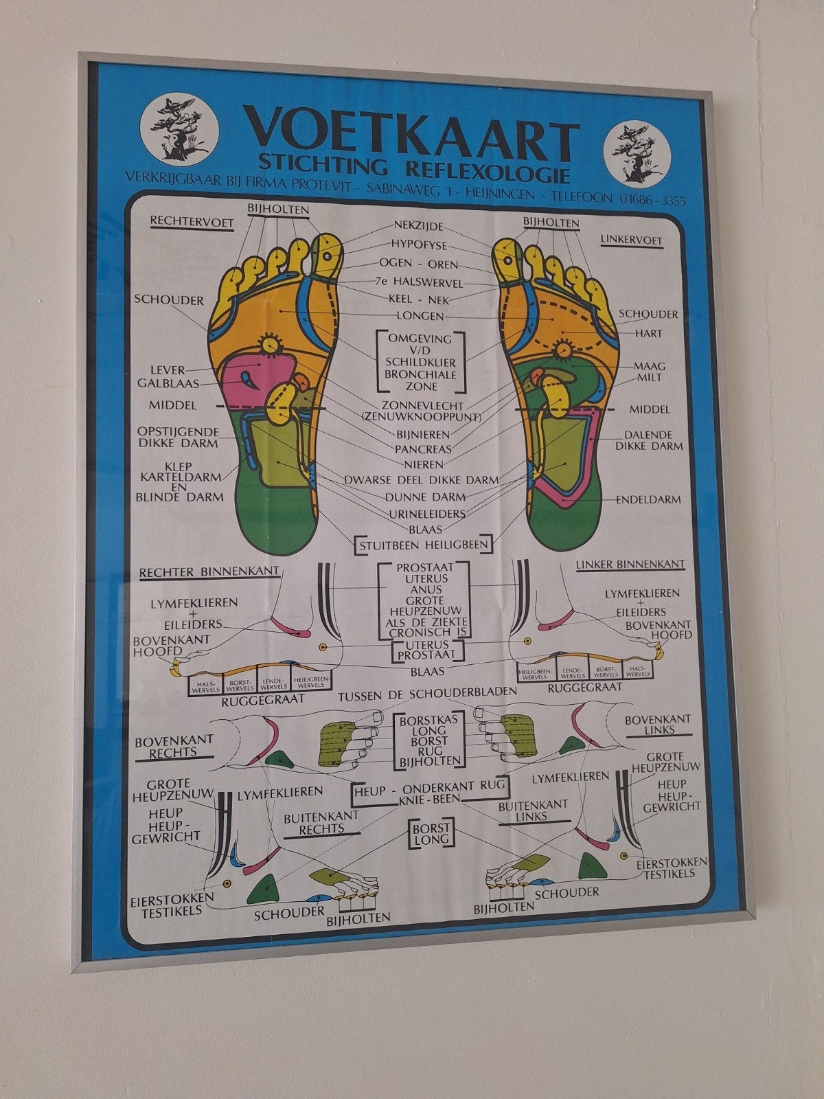 Ingelijste voetreflexologiekaart te koop, Collections, Posters & Affiches, Enlèvement