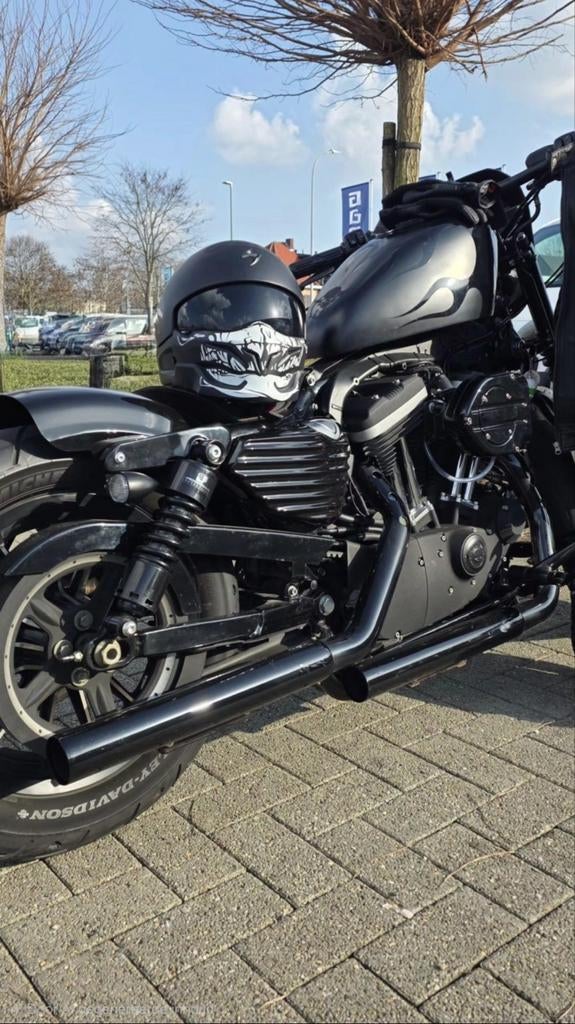Harley Davidson sportster 883, Motos, Motos | Harley-Davidson, Particulier, Chopper, plus de 35 kW, 2 cylindres, Permis Moto A2 minimum
