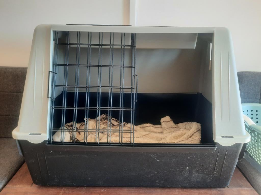 Cage pour chien Ferplast. Pour la voiture, Enlèvement