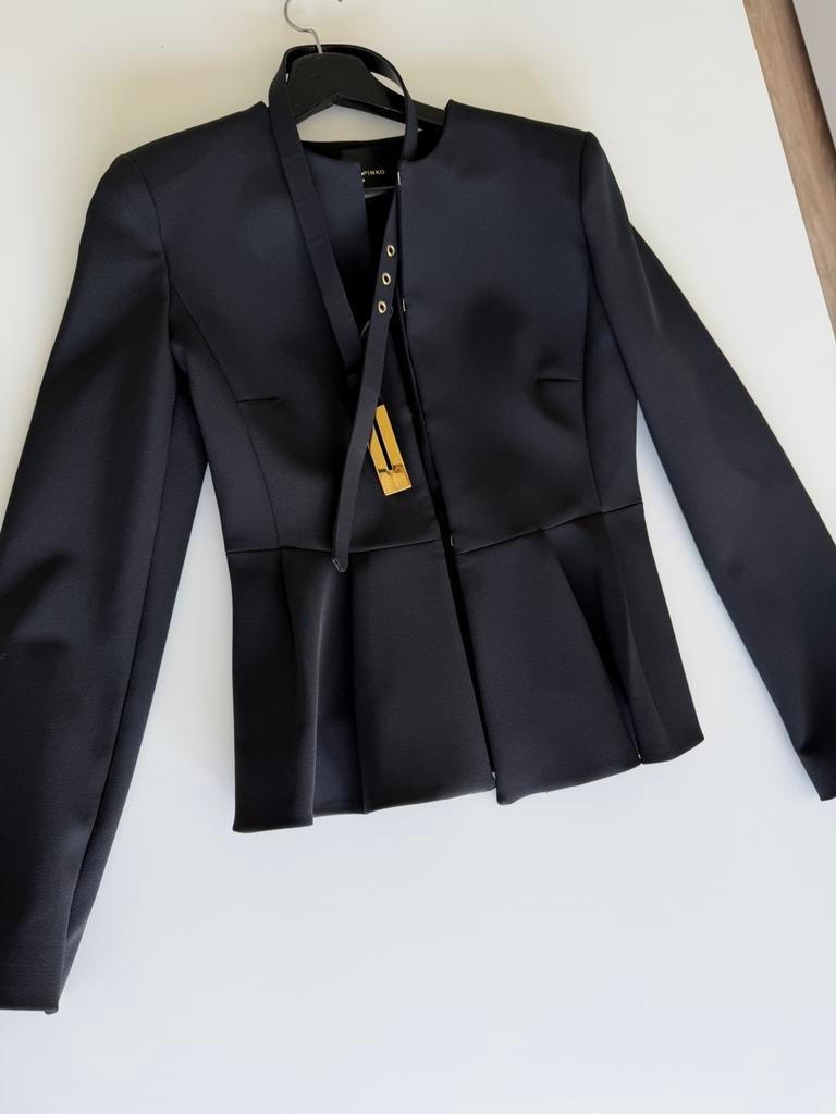 Pinko blazer, Kleding | Dames, Ophalen of Verzenden, Zo goed als nieuw, Zwart